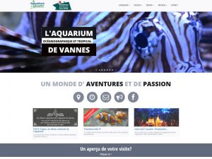 aquarium de vannes, sorties et découvertes - Morbihan